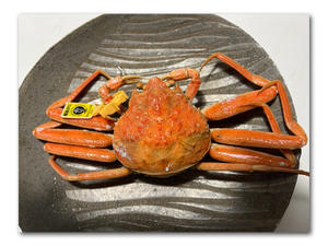 お土産 - 雪割草 - Primula modesta -