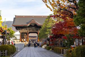 【善光寺】長野・群馬旅 - 3 - - うろ子とカメラ。Ⅱ
