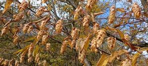 三瓶山なんでも情報