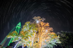 138ウインターイルミ2025 - Digital Photo Diary