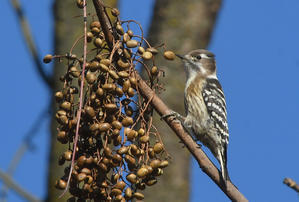 今日の風に吹かれて