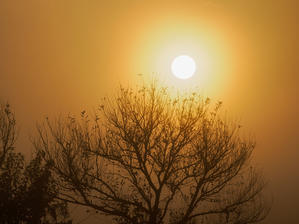   深い霧の遊水地 あれやこれや - nama3の気ままに雑記