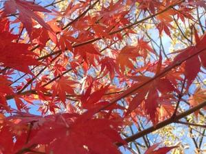 「職場の世代間ギャップを解消する～相手の１日を想像するというアプローチ」のご紹介 - インソース東へ西へ