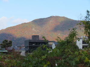 岐阜公園の紅葉　金華山 (328.9M)  PART 1 - 風の便り