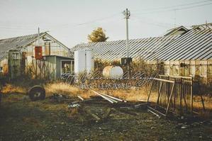 休閑期の温室風景。 - ～風紋～徒然歳時記