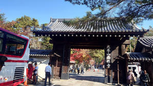 京都の紅葉名所へ - のんここっこぼんこ