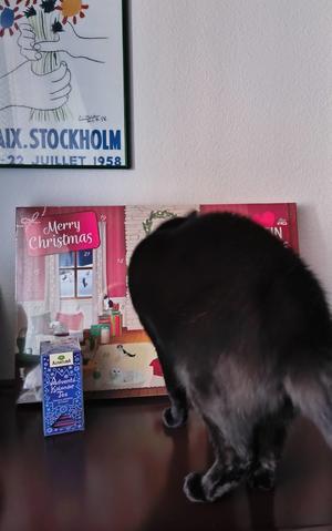 間に合った！ - 私の備忘録