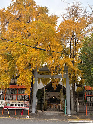 忌中にしてはならぬこと！ - 本日もサツキ晴れ！