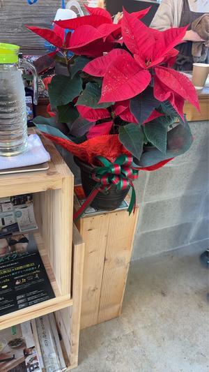 間もなく師走。 - 一つ一つを大切に。