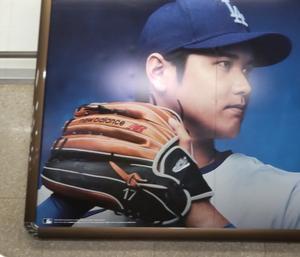 巨大グローブ画像 - 野球まみれ