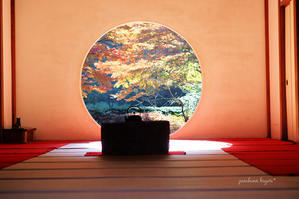 明月院の紅葉 - jumhina biyori*