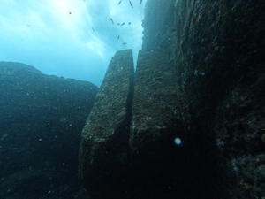 11月28日　ついに… - YDSブログ