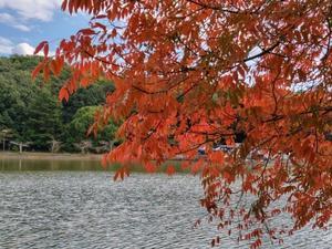 子どもに勉強しなさいと言うべきかどうか - しみずよしこの英語教室