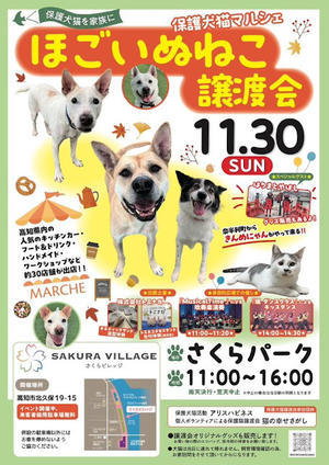 11月30日ほごいぬねこ譲渡会に出店です。 - 古道具ときどき猫。