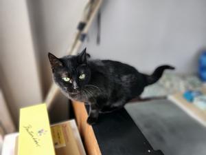 ようよう陽射しが届いて - 土佐婚倶楽部