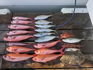 11月28日 近海便 - 志摩沖 ほっぺ毛丸