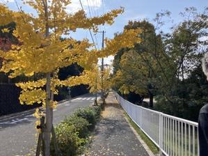 災害時の備蓄品 - daisyの日記