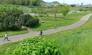 ニュースはクマばかりⅡ - マジカル散歩のBlog