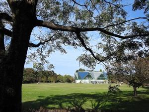 『フラワーパーク江南のコスモス』 - 自然風の自然風だより