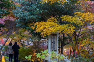 【徳明園】長野・群馬旅 - 6 - - うろ子とカメラ。Ⅱ