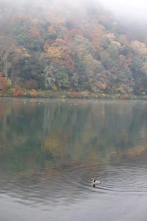 朝靄に抱かれて - 京都ときどき沖縄ところにより気まぐれ