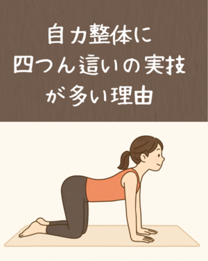 自力整体に四つん這いの実技が多い理由 - 自力整体教室【広島】教室案内
