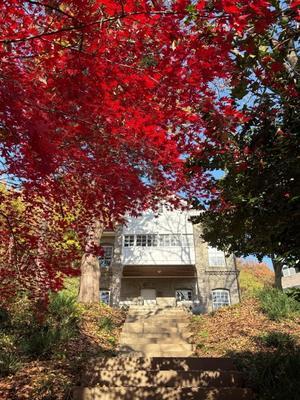 2025年 11月 光州 紅葉が綺麗です - ほんかわな気分 ３