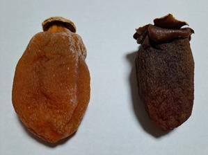 干柿 - 春夏秋冬