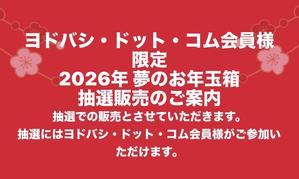 ヨドバシのお年玉箱 - 印刷屋さんで働く双子ちゃんのお父さん