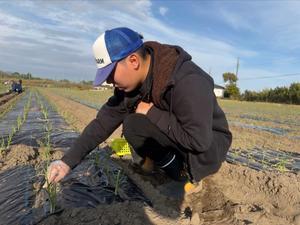 ２５日-２８日 - ジョブファーム活動ブログ