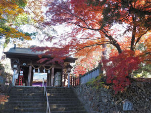   唐沢神社で紅葉狩り - nama3の気ままに雑記