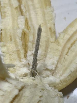 バナナの芯が立っていた - こんばんは！のんちゃんです