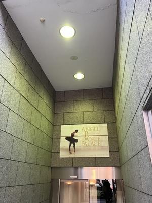 6年ぶりの再会 - アドリア海を臨み、日々の徒然など