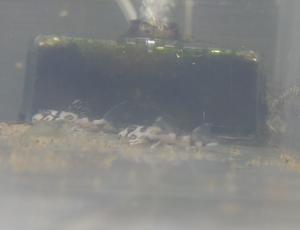 2025.11.29.土曜日 - ネオウエーブ淡水ブログ（ほぼ日記とメモ）