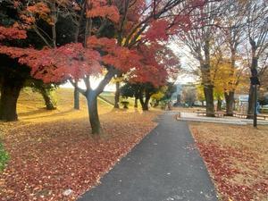 狩野川スタッフブログ