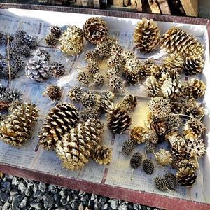 クリスマスリースの下準備 - M's Factory