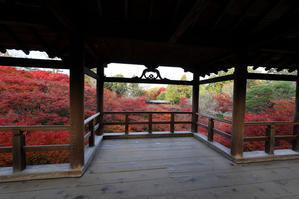 紅葉の京都2025 －東福寺 早朝貸切拝観－ - ＭＥＭＯＲＹ　ＯＦ　ＫＹＯＴＯＬＩＦＥ