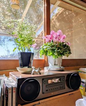 2泊3日の旅 - 木の家具UMEKAWA くらしの話　ティオペペタイムス