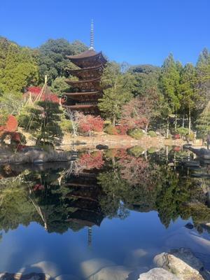 近くで紅葉見物 - 幸ちゃんの日々