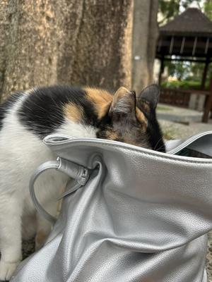 遠慮のない友人 - 台湾国際結婚ってそんなにいいの？