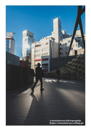 反射光 - ♉ mototaurus photography