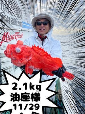 ちょっと順位変動あり - いわき丸の後悔日誌