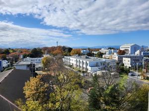 季節は小雪 - 土佐婚倶楽部