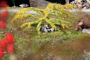 お猿と知恵比べw - フロリズム♪。*