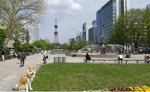 フェイクばやり（流行） - マジカル散歩のBlog