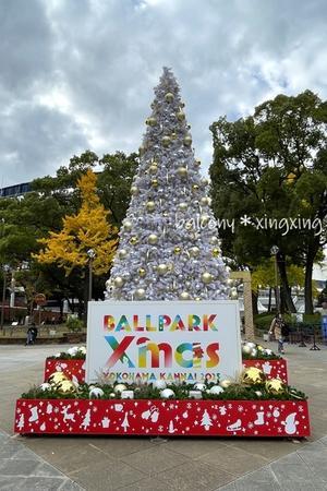 2025　日本大通り～山下公園　紅葉狩り - balcony＊xingxing＊