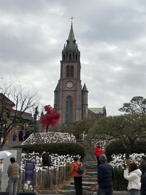 2025年 11月 ソウルに戻ってきました - ほんかわな気分 ３