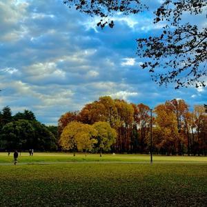 11月28日（金）秋の風景 - 毎日jogjob日誌 by東良美季