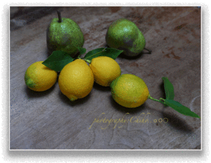 檸檬の友達 - ちほりごと@．．ｏＯ○