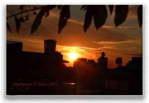 皆 無 - ちほりごと@．．ｏＯ○